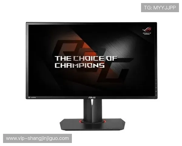 国际人PG游戏平台官网的客户服务与技术支持体系详尽解读与用户体验提升