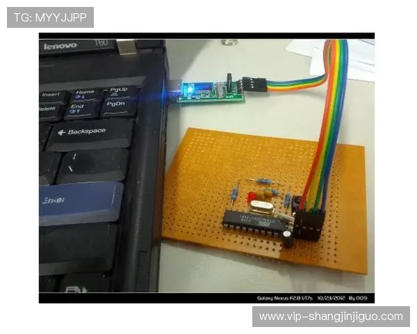 如何安全访问PG电子国际站网址保障个人信息安全的实用技巧