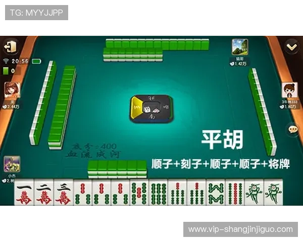 PG麻将胡了外挂最新版本下载与安全使用指南全面解析